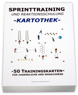 Volleyball-Kartothek-Sprinttraining